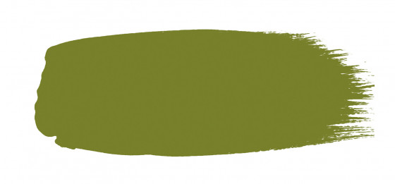 Little Greene Absolute Matt Emulsion Paint Citrine 71 T 1lt